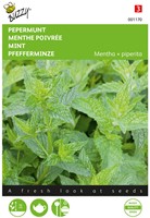 Menta piperita -  Mentha x piperita