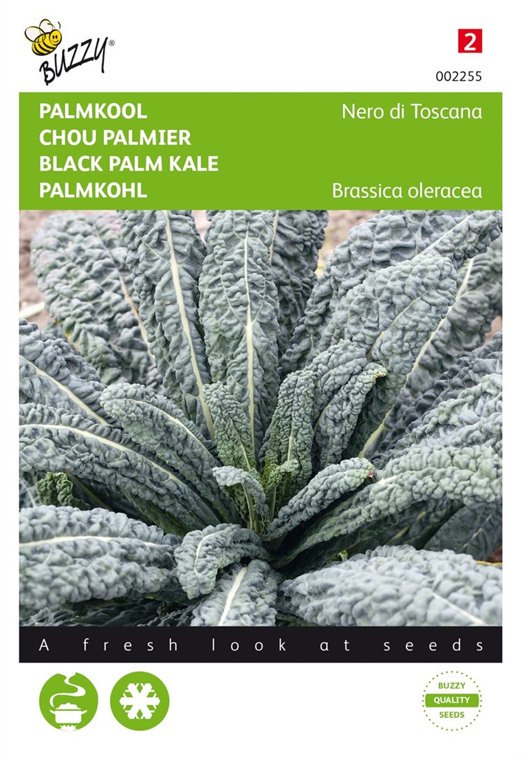 SEMI DI CAVOLO LACEOLATO NERO DI TOSCANA PRECOCE - Foto 7