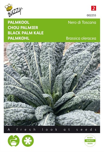 Selezione di Semi Ortaggi Speciali (Buzzy): cavolo riccio Nero di Toscana