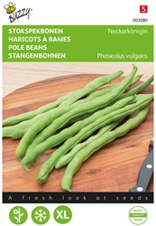Fagiolino Neckarkoningin - Buzzy Seeds