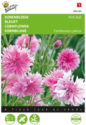 Fiordaliso Pink Ball - Centaurea cyanus