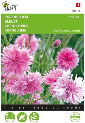 Fiordaliso Pink Ball - Centaurea cyanus