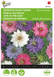 Fanciullaccia Persian Jewels - Nigella damascena