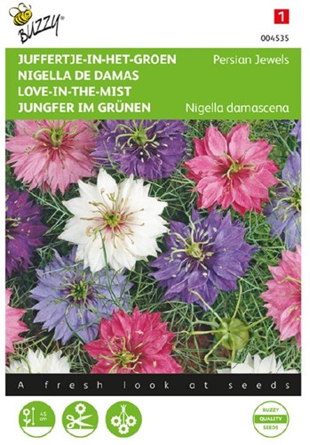 Fanciullaccia Persian Jewels - Nigella damascena