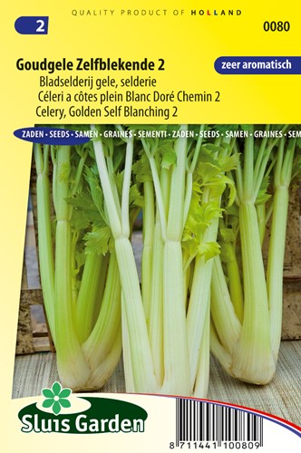 Sedano Dorato autoimbiancante 2 - Sluisgarden