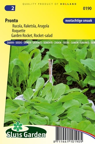 Rucola 'Pronto'