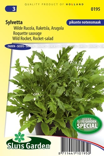 Rucola selvatica 'Sylvetta'