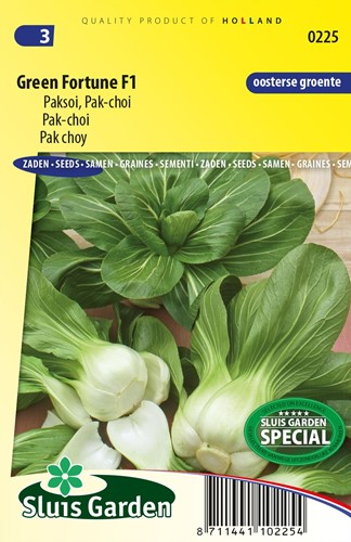 Cavolo Cinese 'Fortune F1' (Brassica chinensis) Pak Soi