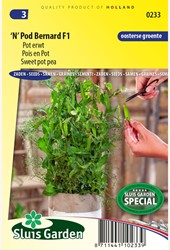 Pisello dolce 'N' Pod Bernard F1 – Pisum sativum
