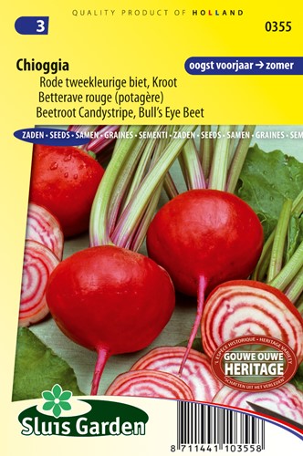 Barbabietola Chioggia