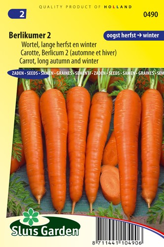 Carota autunnale ‘Berlikummer 2’ (Daucus Carota)