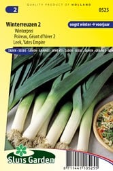 Porro invernale Yates Empire 2 - Allium porrum