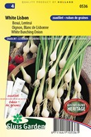 Accumularsi Bianco Lisbona SEED NASTRO (Allium Cepa)