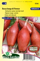 Cipolla 'Rossa Lunga di Firenze' (allium cepa)