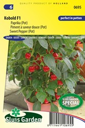 Peperone dolce Kobold F1 PATIO