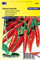 Peperoncino di Cayenna - Capsicum Annuum (Sluisgarden)