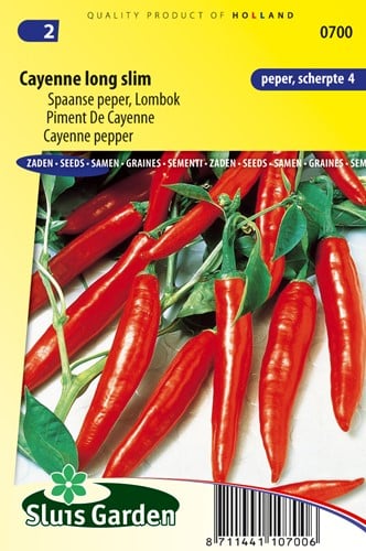 Peperoncino di Cayenna - Capsicum Annuum (Sluisgarden)