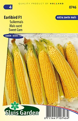 Mais dolce Earlibird F1 - Zea Mays
