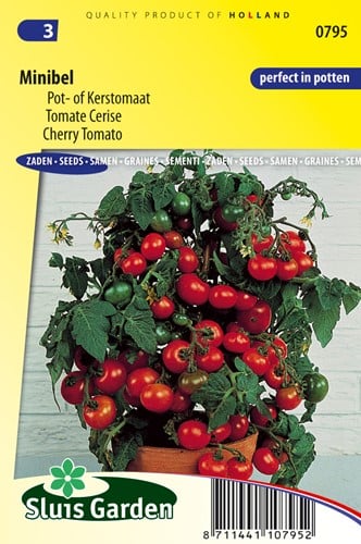 Pomodoro MINIBEL