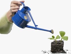 Annaffiatoio 0.7 litri per interni blu - Haws