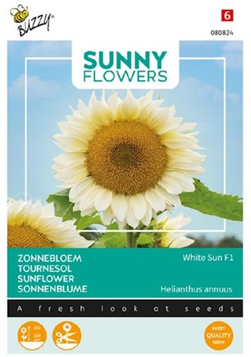 Girasole White Sun F1 - Sunny flowers