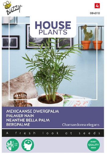 Chamaedorea, Neanthe Bella Palm - Buzzy House Plants
