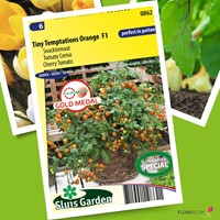 Pomodoro Tiny Temptations Orange F1 - Lycopersicon-2