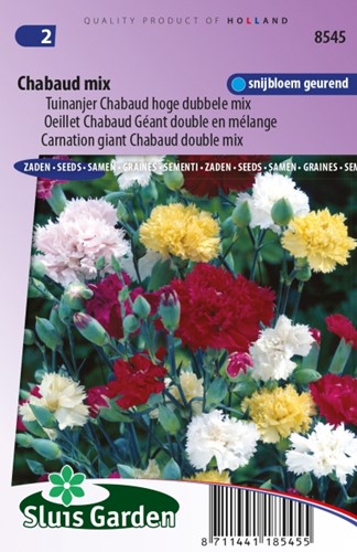 Garofano Chabaud Mix – Dianthus Chabaud
