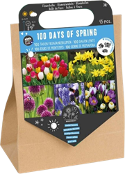 100 Dagen Lente – 45 bloembollen