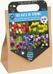 100 Dagen Lente – 45 bloembollen