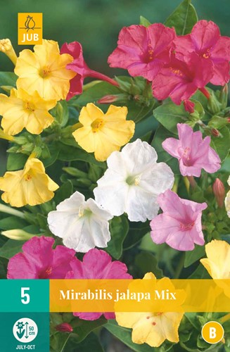 Mirabilis Jalapa Mix – Bella di notte