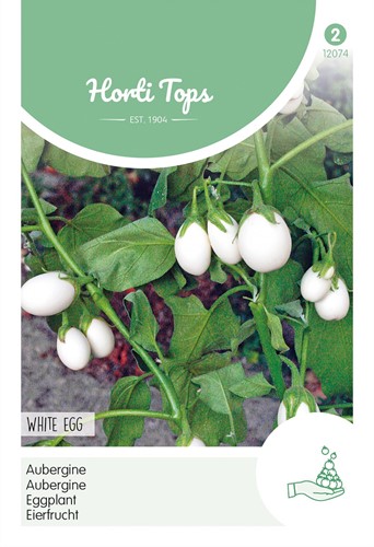 Melanzana White Egg - Horti Tops