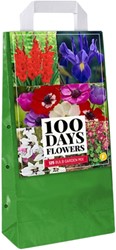 Assortimento di 125 bulbi a fioritura estiva (Confezione Grande)