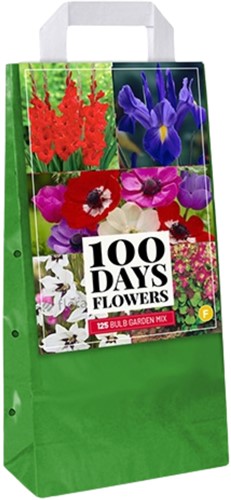Assortimento di 125 bulbi a fioritura estiva (Confezione Grande)