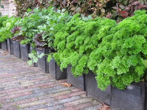 Borse Fioriera da Balcone/Muro 100% materiali riciclati