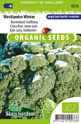 Kale, Cavolo riccio Westlandse Winter EKO (Semi Biologici)