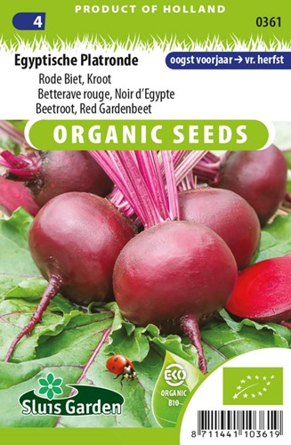 Barbabietola 'Egiziana' EKO (Semi Biologici)