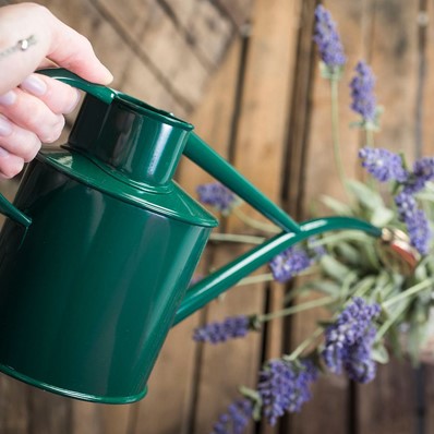 1L Binnengieter - kleur Groen - Haws-2