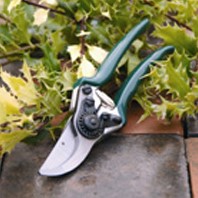 Cesoia professionale - Burgon and Ball-2