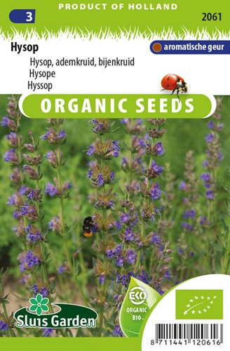 Issopo - Hyssopus officinalis EKO (sementi biologici)