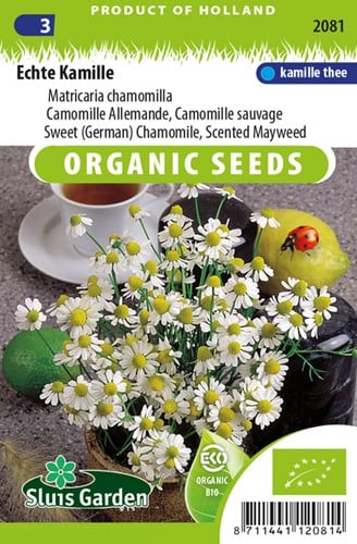 Camomilla comune - Matricaria chamomilla EKO