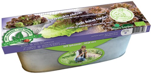 Kit germinatoio Lattuga 'Red Salad Bowl' (Semi Biologici)