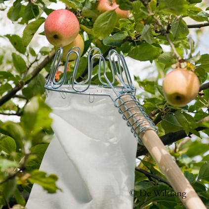 Acquistare Raccoglifrutta senza manico, filo zincato? Ordinate online su  Florablom