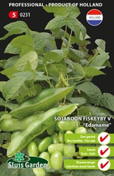 Semi di Soia 'Edamame' Fiskeby V