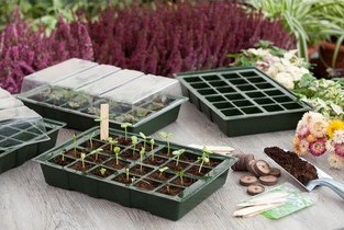 Kit germinatoio completo - Nature