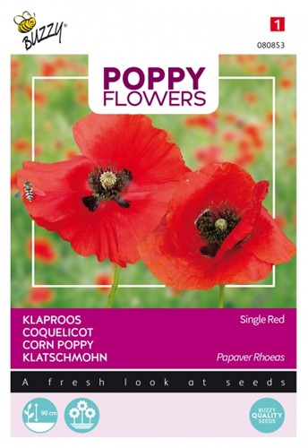 Papavero 'Corn Poppy' (Papaver)