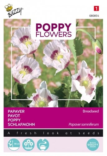 Selezione semi Papaveri del mondo – Papavero Blu (Papaver)