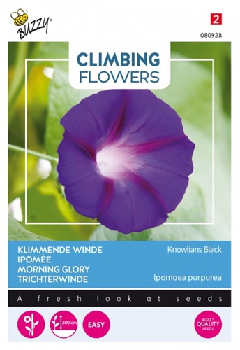 Selezione semi Piante Rampicanti: Ipomoea purpurea 'knowlians black'