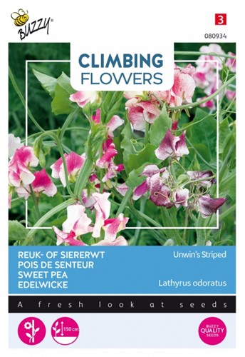 Selezione semi Piante Rampicanti Cicerchia 'Unwin's Striped' (Lathyrus)