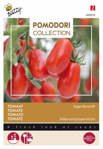 Semi di pomodoro: Super Roma VF
